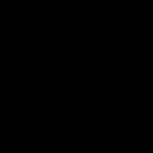 Meet your Posher, Brendan